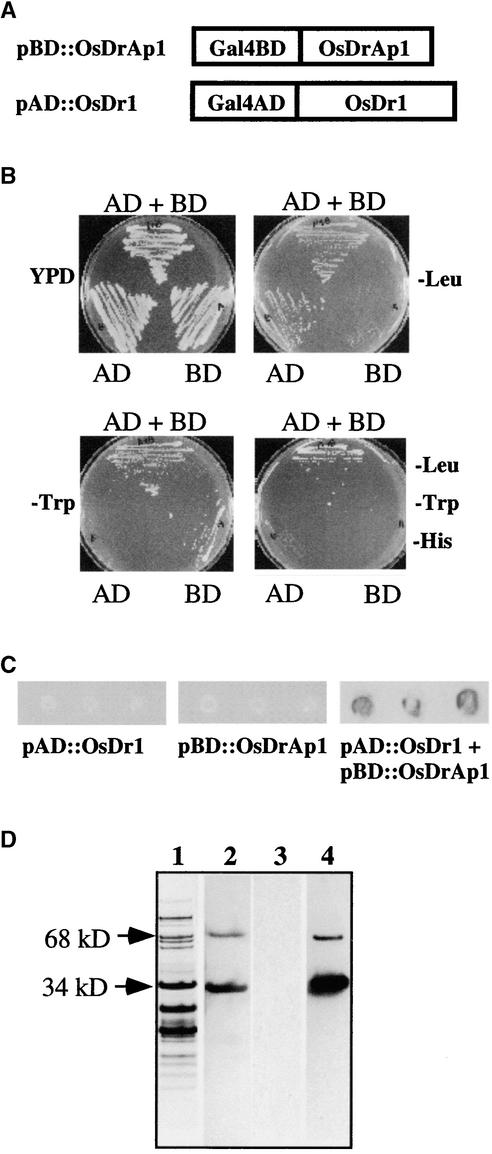 Figure 2.