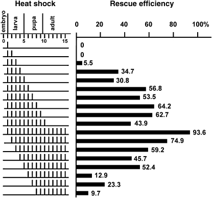 Figure 4.—