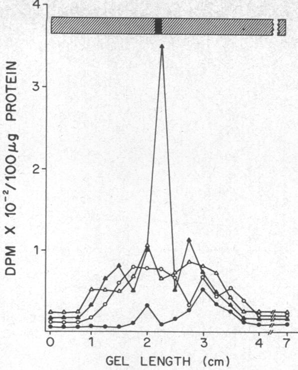 graphic file with name pnas00132-0176-a.jpg