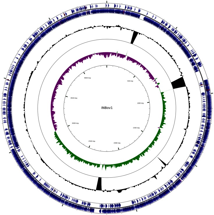 Fig. 2.