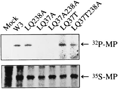 FIG. 5