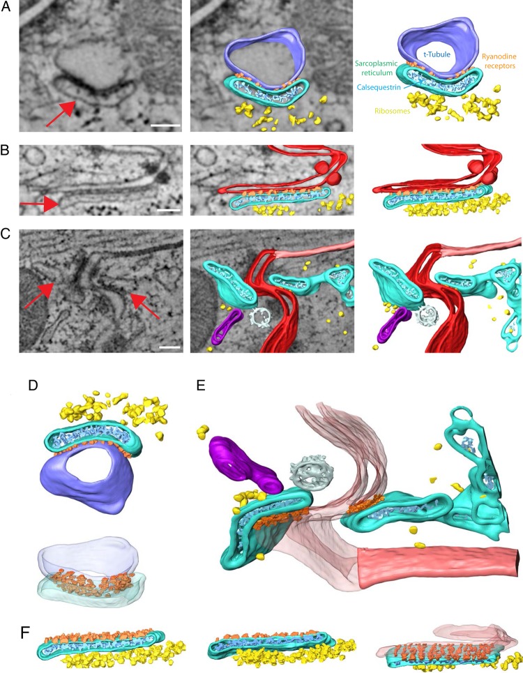 Figure 4