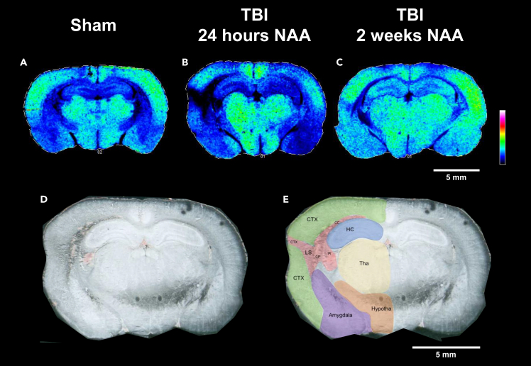 Figure 2