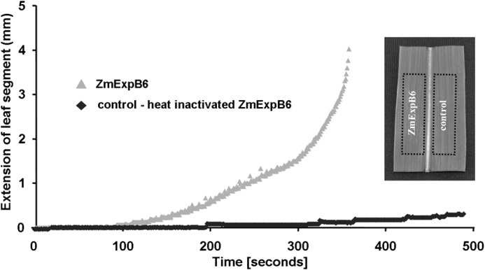 FIGURE 9.