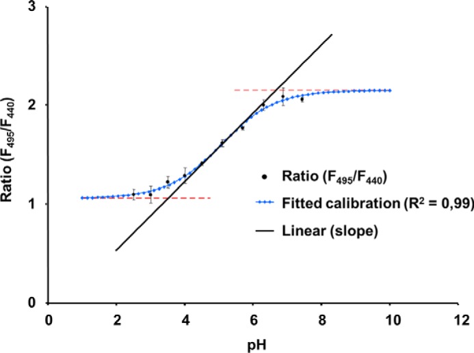 FIGURE 3.