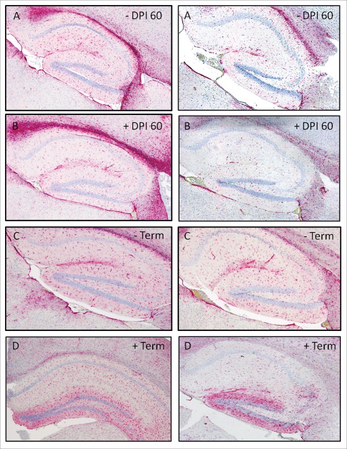 FIGURE 10.