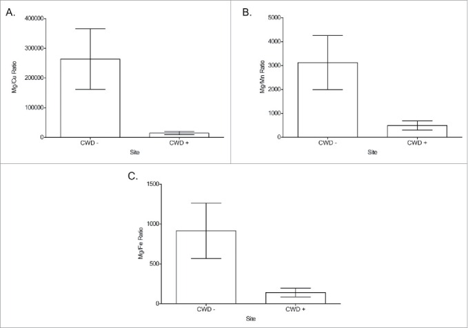 FIGURE 4.