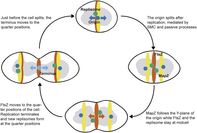 Fig. 6.