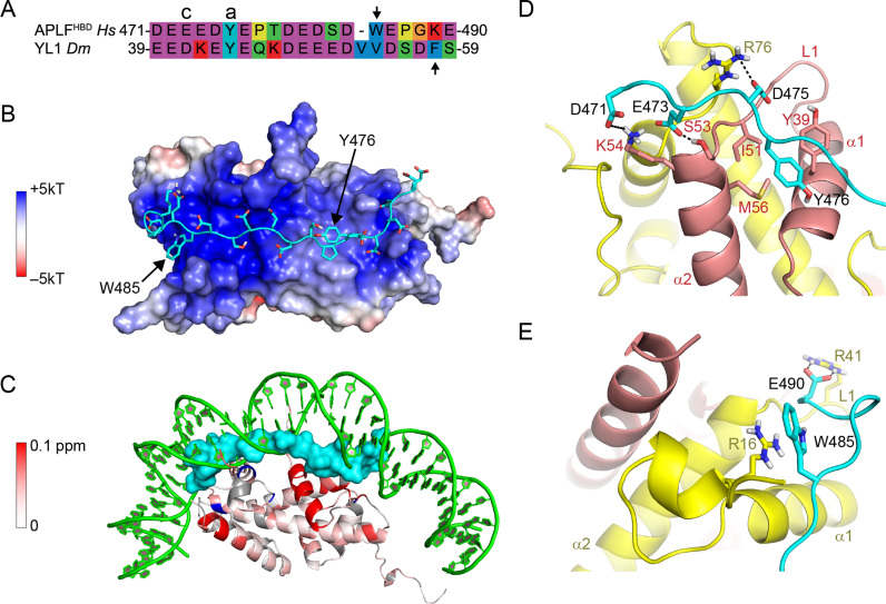 Figure 7.