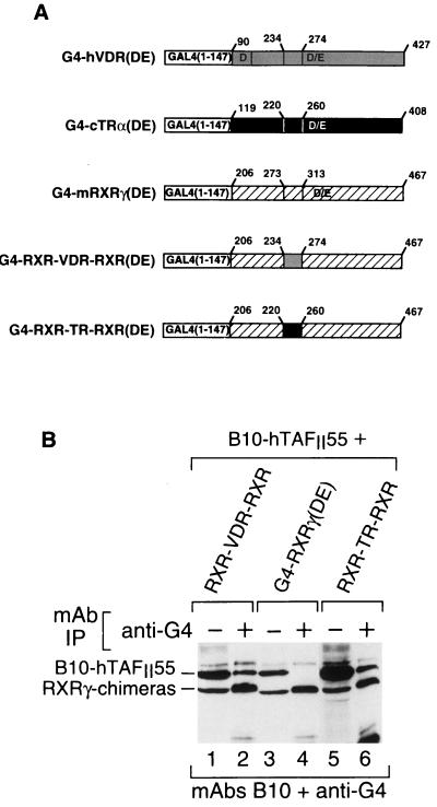 FIG. 5