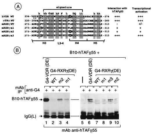 FIG. 6