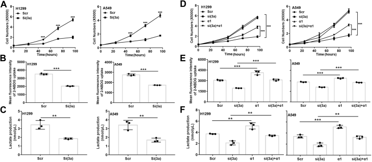 Figure 7