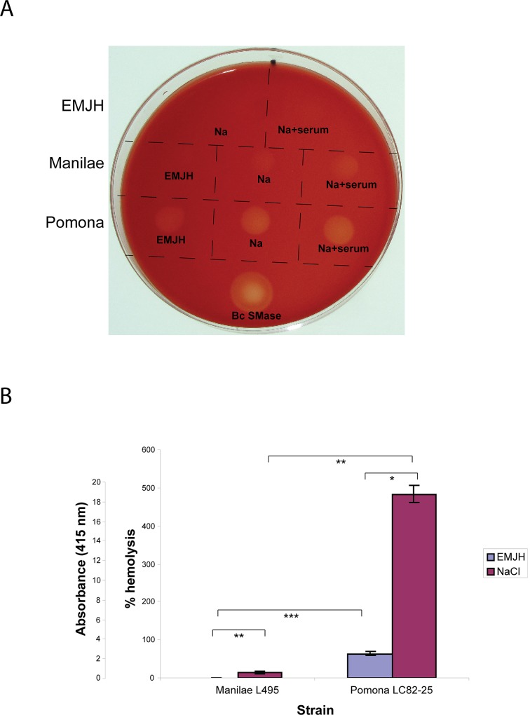 Fig 5