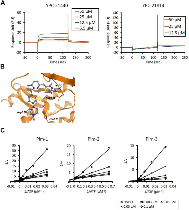 FIGURE 1