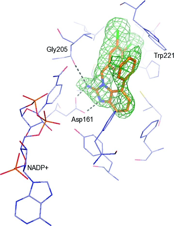 Figure 9