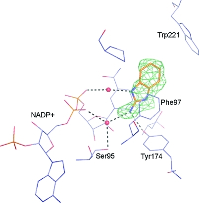 Figure 5