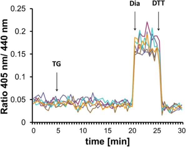 Fig. 2