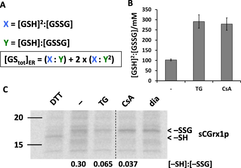 Fig. 4