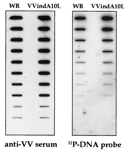 FIG. 11