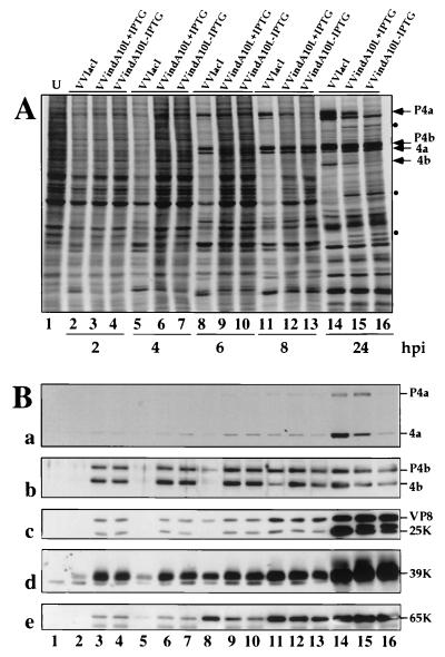 FIG. 4