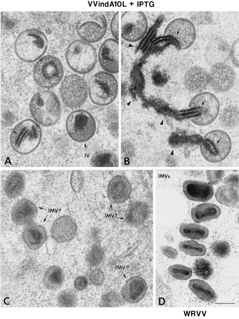 FIG. 6