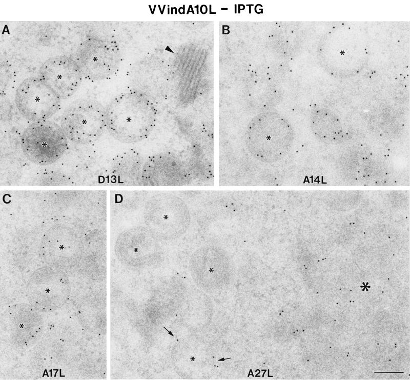 FIG. 7