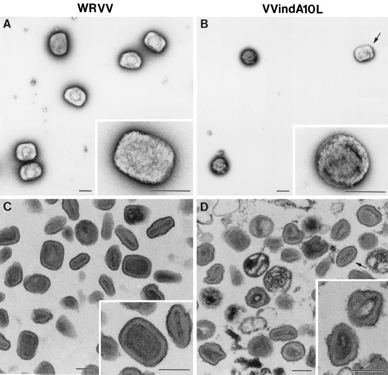 FIG. 10