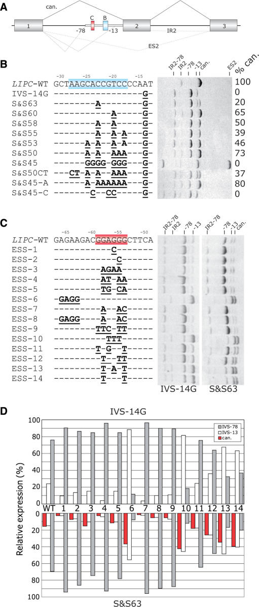 Figure 9.