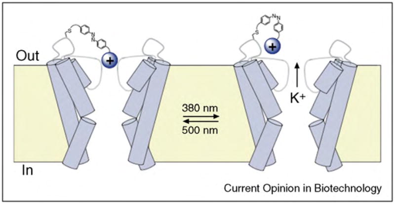 Fig. 17