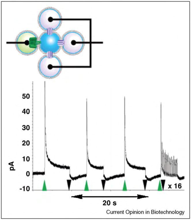 Figure 25