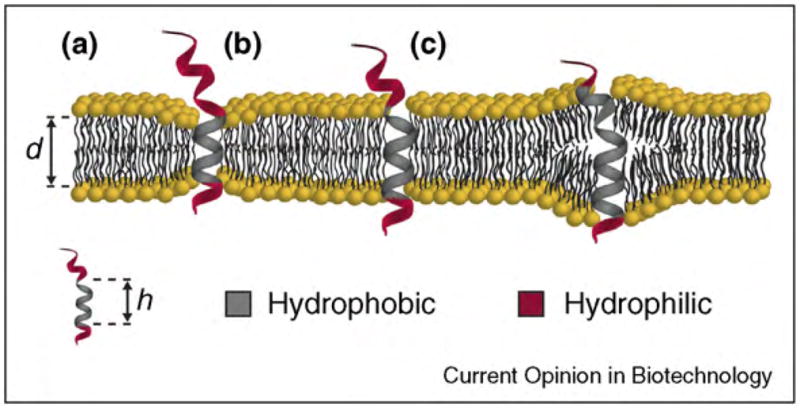 Figure 15