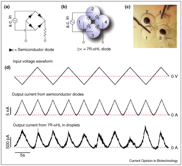 Figure 21