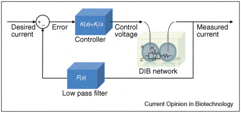 Figure 23