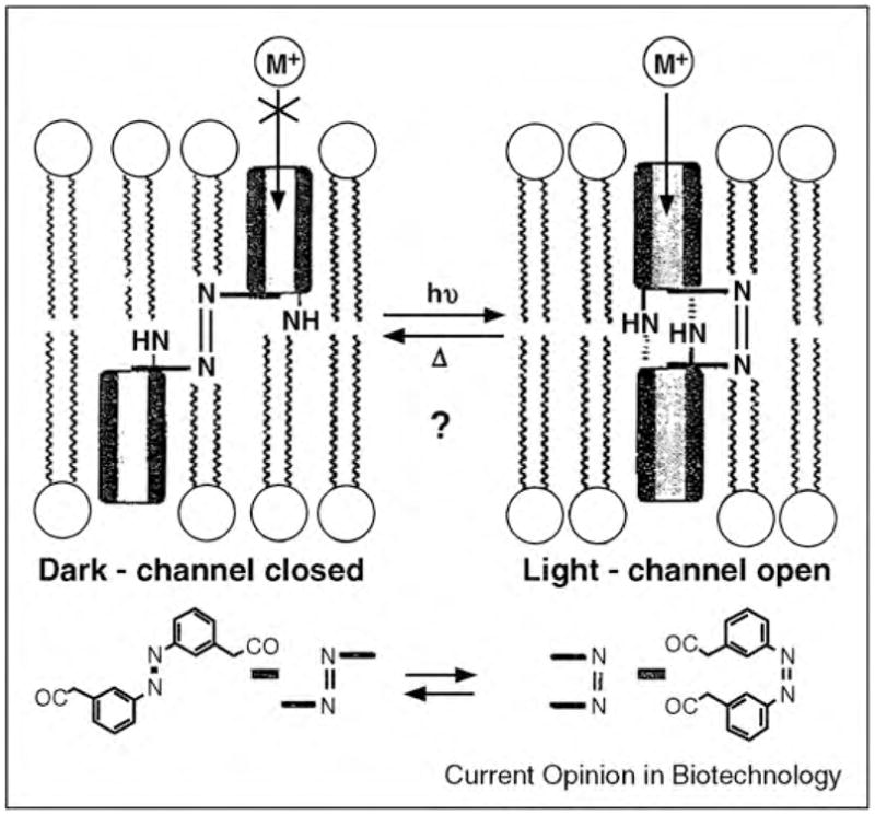 Figure 19