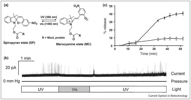 Figure 18