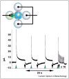 Figure 25