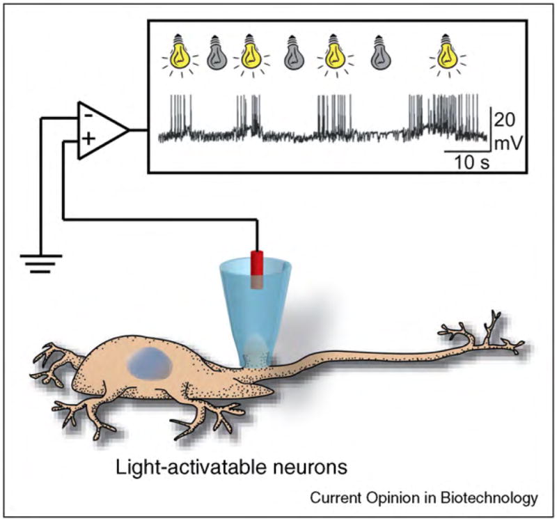 Figure 16