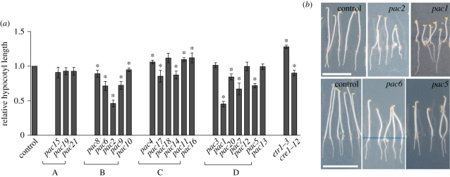 Figure 4.