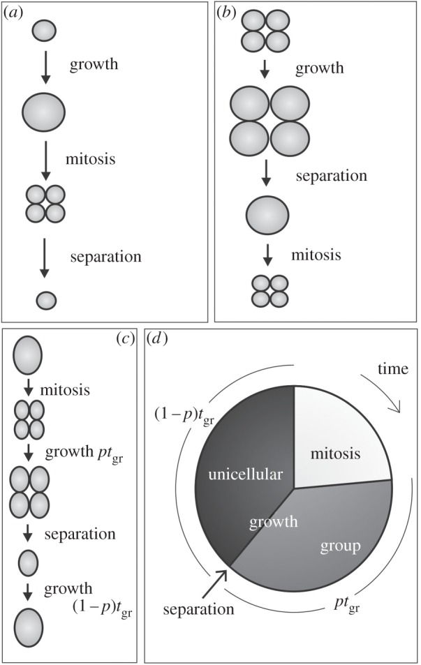 Figure 1.