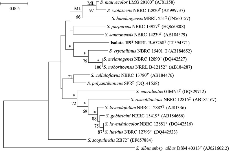 Fig. 2