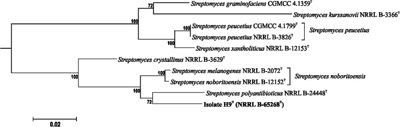 Fig. 3