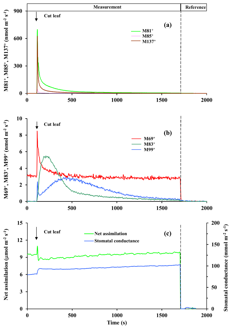 Fig. 6