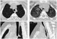 Fig. 9.
