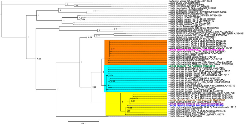 Fig. 3