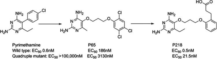 Fig. 8.