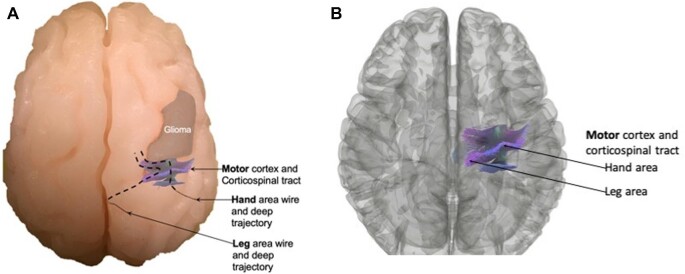 FIGURE 1.