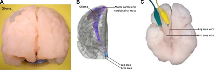 FIGURE 2.