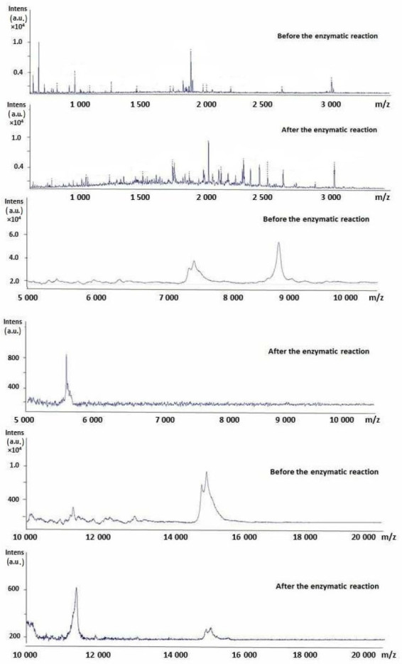 Fig. 4.