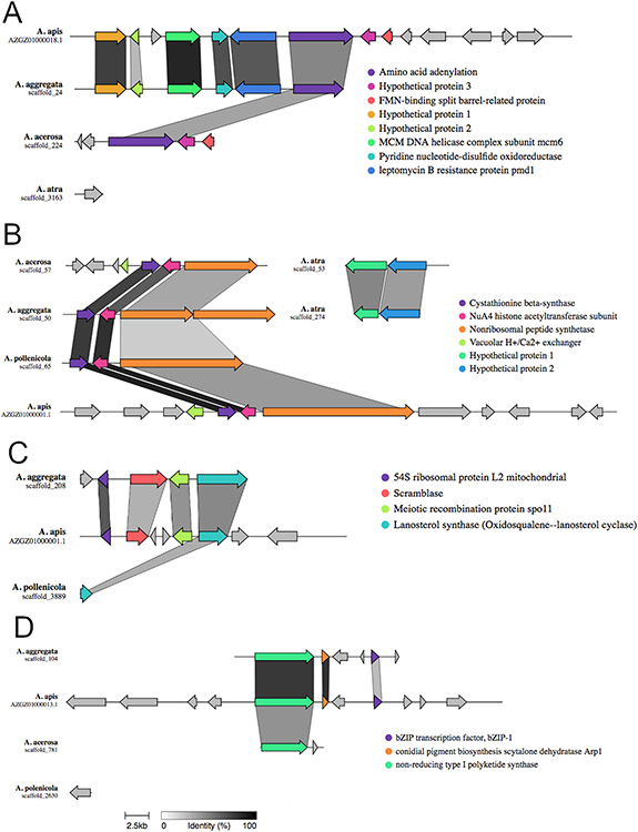 Figure 2: