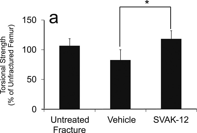 Fig. 6-A